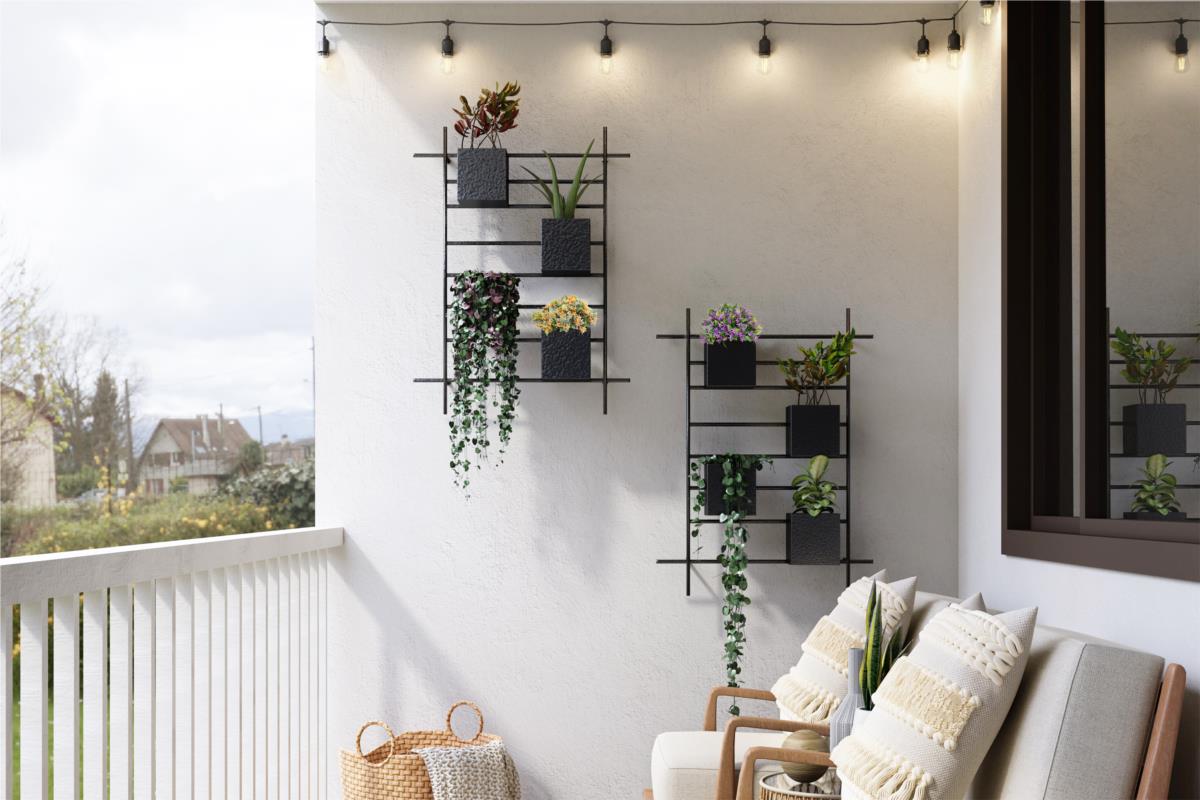Plantas que necesitas este verano para decorar tu hogar