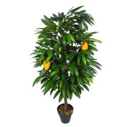 Arbol de Mango Verde Natur + 2 Frutos - 150cm.