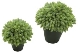 1/2 bola Cactus Pia/Lupulo maceta plastico -45cm