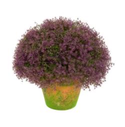 1/2 bola gipsofila morada maceta terracota - 30cm