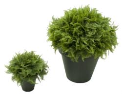 1/2 bola Helecho verde maceta plastico - 85cm