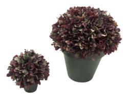 1/2 bola lechuga roja maceta plastico - 60cm