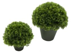 1/2 bola Pino maceta plastico - 25cm