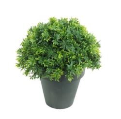 1/2 bola Te verde maceta plastico - 30cm