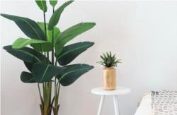 6 beneficios de tener flores y plantas artificiales en casa 6 beneficios de tener flores y plantas artificiales en casa