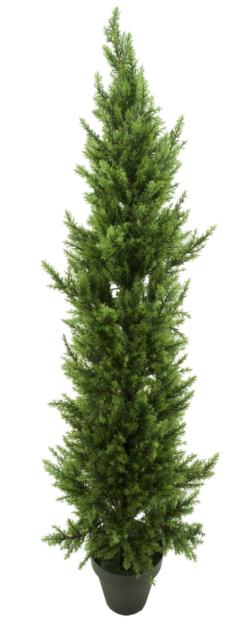 Abol de cipres basic verde tronco recto - 90cm