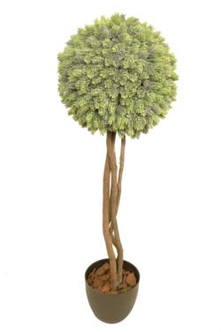 Arbol de cactus pia/lupulo 1 bola - 180cm