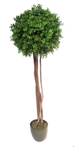 Arbol de eucaliptus 1 bola tronco trenzado - 120cm