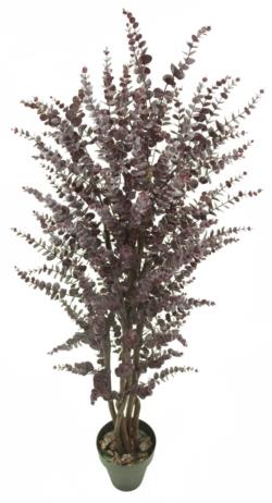 Arbol Eucaliptus Rojo/Blanco Tronco Trenzado-180cm