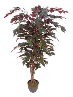 arbol de ficus benjamina verde/rojo Classic -110cm