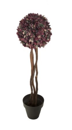 Arbol de lechuga roja 1 bola tronco trenz - 150cm