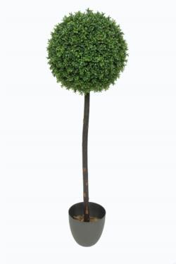 Arbol de mini boj 1 bola tronco recto - 180cm