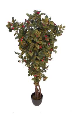 arbol de mora roja tronco trenzado - 180cm