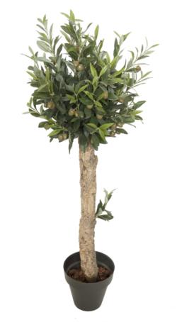Arbol de olivo 1 Tronco Rustico - 120cm