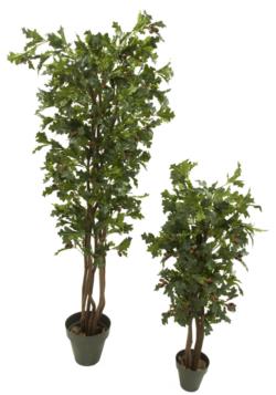 Arbol de Roble verde con frutos - 180cm