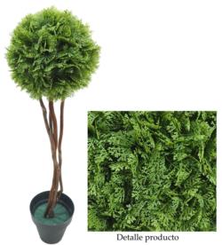 Arbol de Tuya plana 1 bola tronco trenzado - 100cm