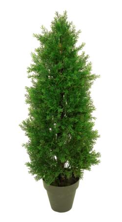 Arbol de Tuya verde - 60cm