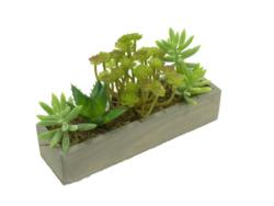 B/Gris Cactus compo 2 -24x7x16cm