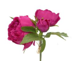 Bouquet de peonias 3 flores fucsia - 17x25cm