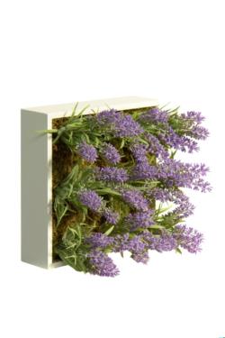 Concobox Lavanda base blanca - 20x20x16cm