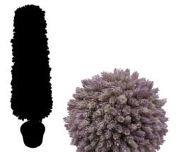 Cono Cactus pia Otoal con tronco - 180cm
