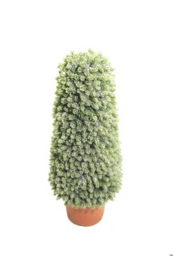 Cono de cactus pia/lupulo - 150cm