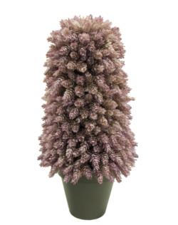 Cono de cactus pia Otoal - 180cm