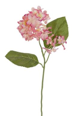 Hortensia fucsia - 55cm