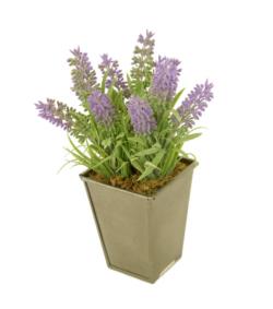lavanda plastico base mad.gris - 8x8x18cm