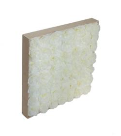 Loseta de peonia blanca - 50x50x8cm