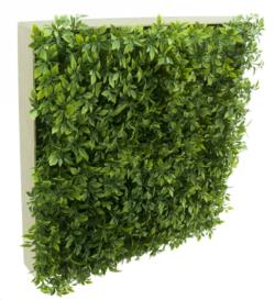 Loseta Blanca Philo Verde plst. - 50x50x10cm