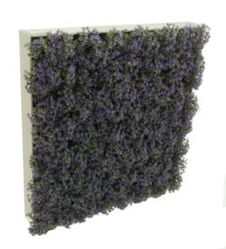 Loseta Blanca Verbena Lila - 50x50x12cm