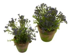 M/M Eucaliptus flor Violeta Mac.Musgo - 9x22 cms