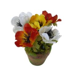 M/M Amapola Col. Surt. Mac. musgo Alt.17cm - 7cm