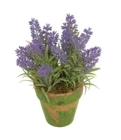 M/M Lavanda plstico Mac. musgo Alt.20cm - 9cm.