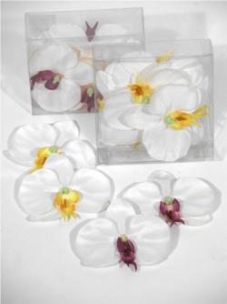 Orquidea crema - 9cm