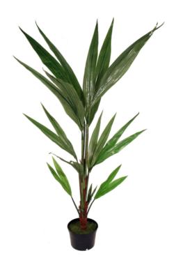 Palmera de coco verde con maceta - 180cm