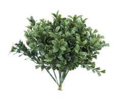Pick de mini boj verde(12 picks) - 20cm
