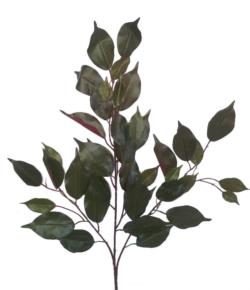 Rama de Ficus Benjamina verde/rojo - 63cm
