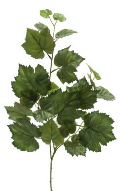Rama de Maple verde canada - 60cm