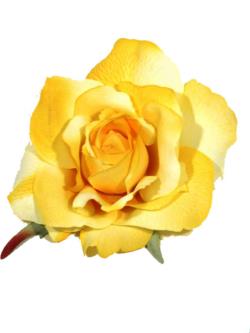 Rosa amarilla - 12cm