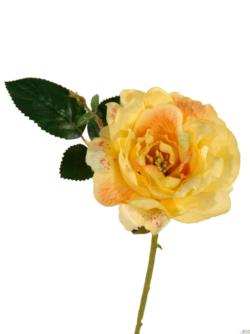 Rosa salvaje amarilla - 11x23cm
