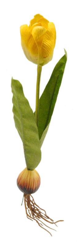 Tulipn amarillo con bulbo - 26cm