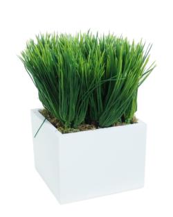 White box Hierba verde alta - 11x11x20cm
