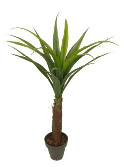 Yuca Tropical  plastico tropical - 18x110 C/M