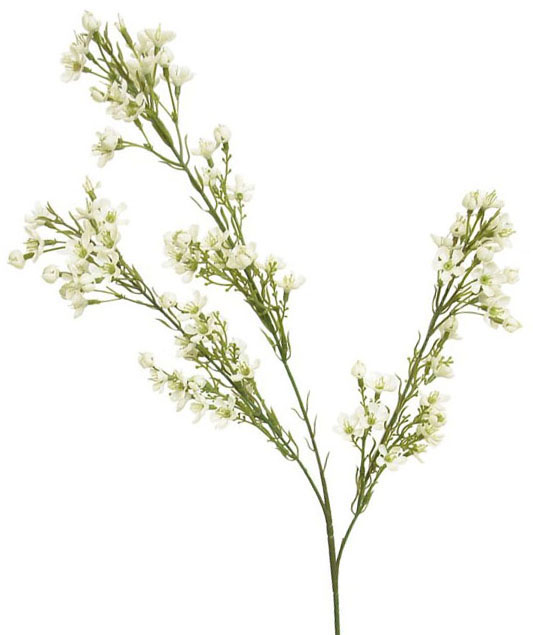 Almendro mini crema plastico - 70cm Almendro mini crema plastico - 70cm