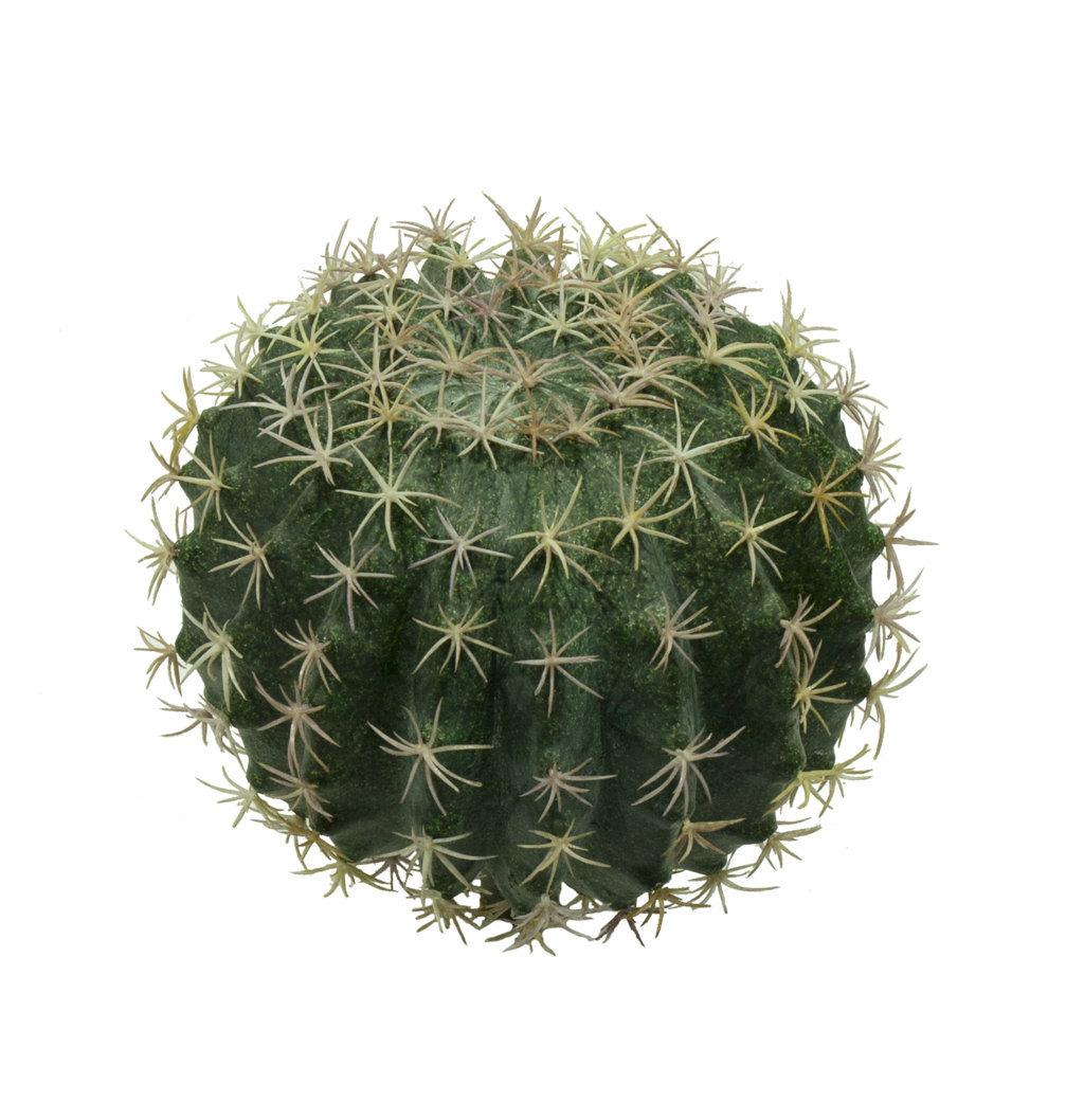 Cactus redondo-Echinocactus - Ø16x(16+7)23cm Cactus redondo-Echinocactus - Ø16x(16+7)23cm