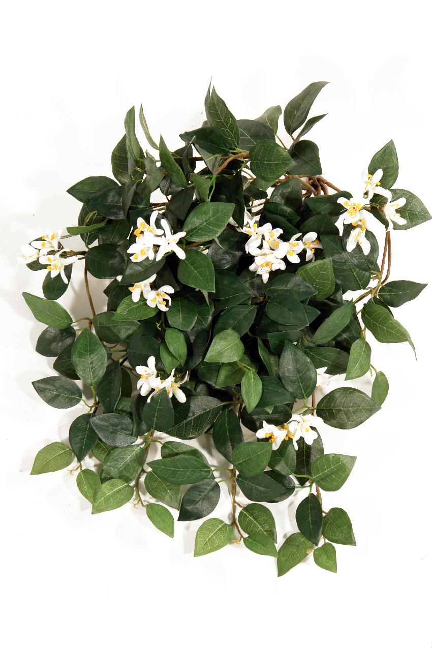 Jazmin en flor crema colgante - 60cm Jazmin en flor crema colgante - 60cm