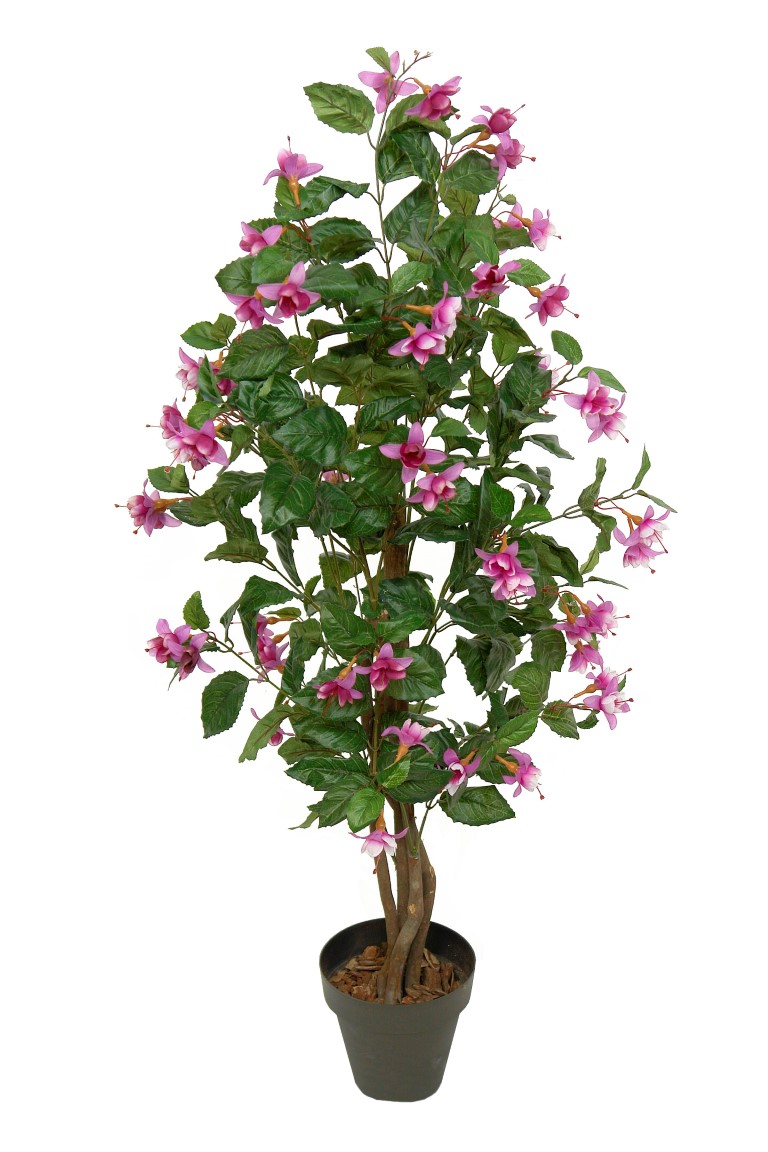 FUCHSIA ROSAx72FLx120cm. FUCHSIA ROSAx72FLx120cm.