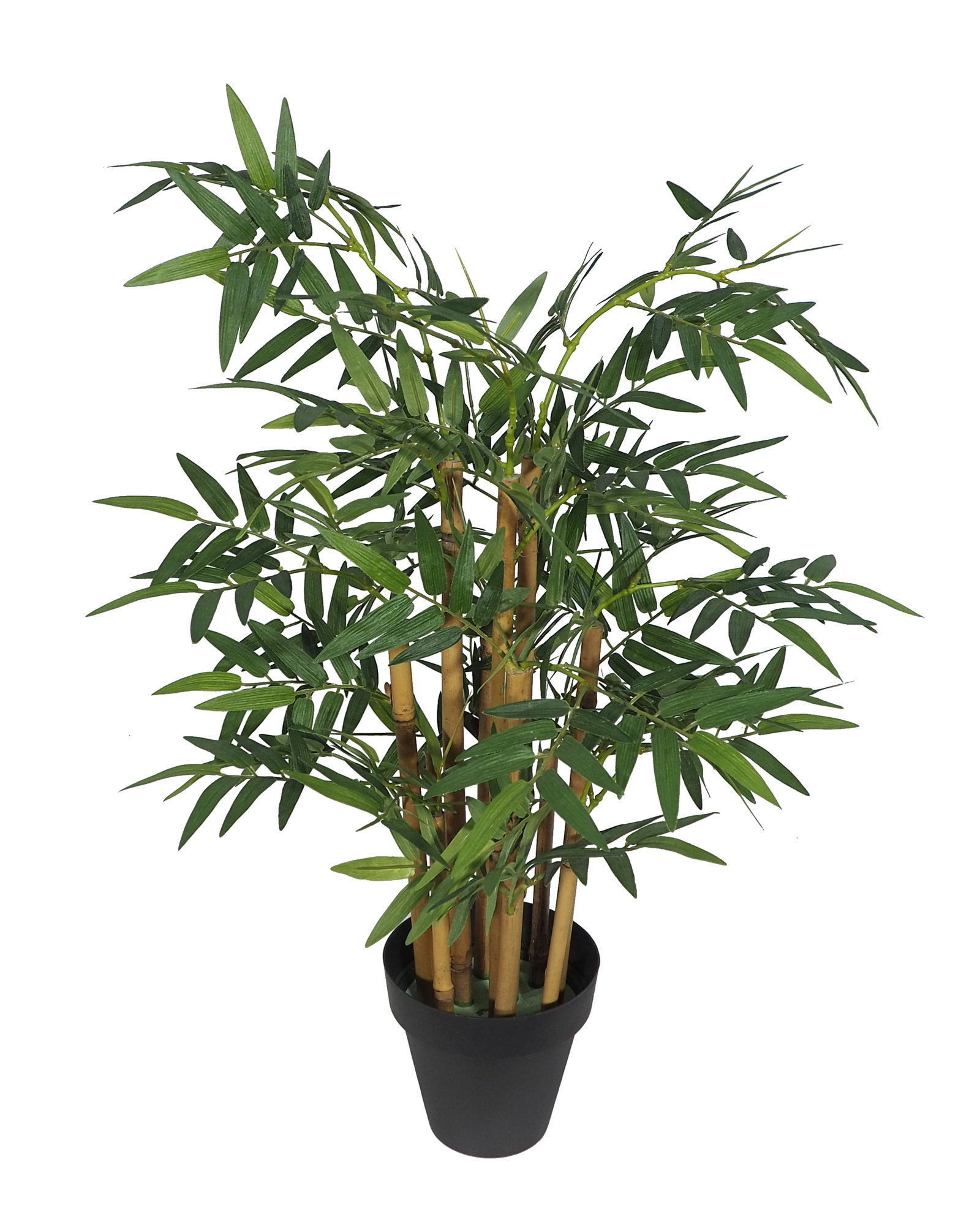Bambu Japonés Redondo - 60cm Bambu Japonés Redondo - 60cm